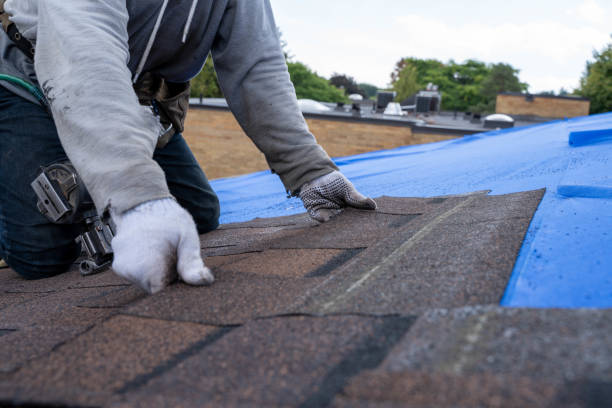 Best Roof Moss and Algae Removal  in Spencer, TN